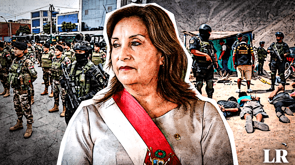 Un año de Dina Boluarte en el poder: la seguridad ciudadana ...
